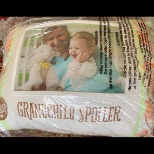 GrandChild spoiler pillow with pocket for picture